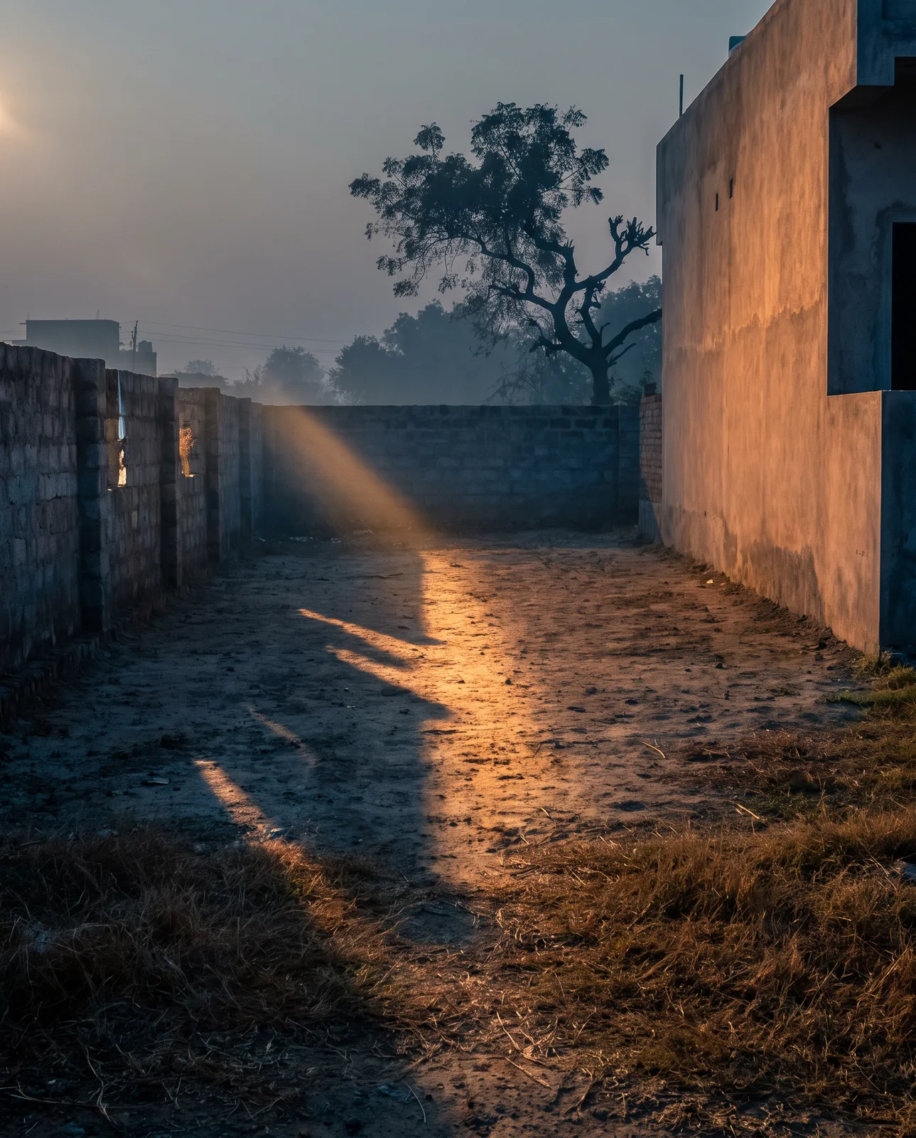 Low morning sun throws a single shaft of light across an empty plot between a brick boundary wall and the side of a house