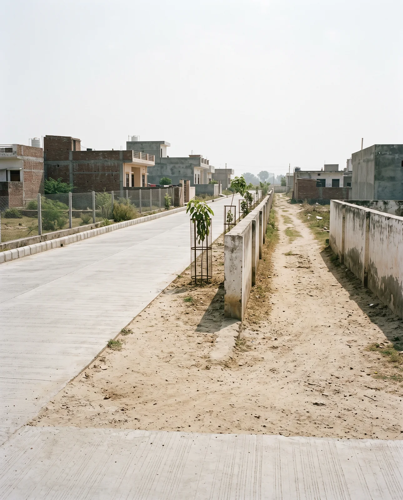 A wide new concrete road and a narrow dirt lane run side by side through a colony, separated by a low wall with saplings along it
