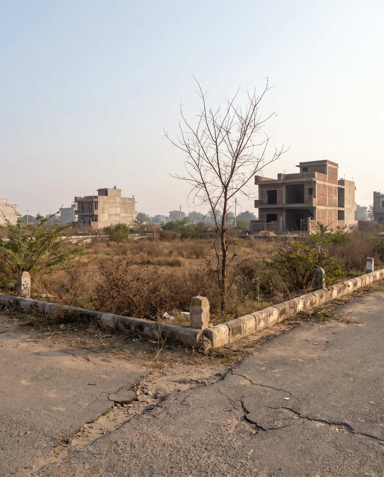 A kerbed corner of dry grass and scrub with one leafless tree, cracked tarmac in front of it and unfinished brick houses behind under a hazy sky.
